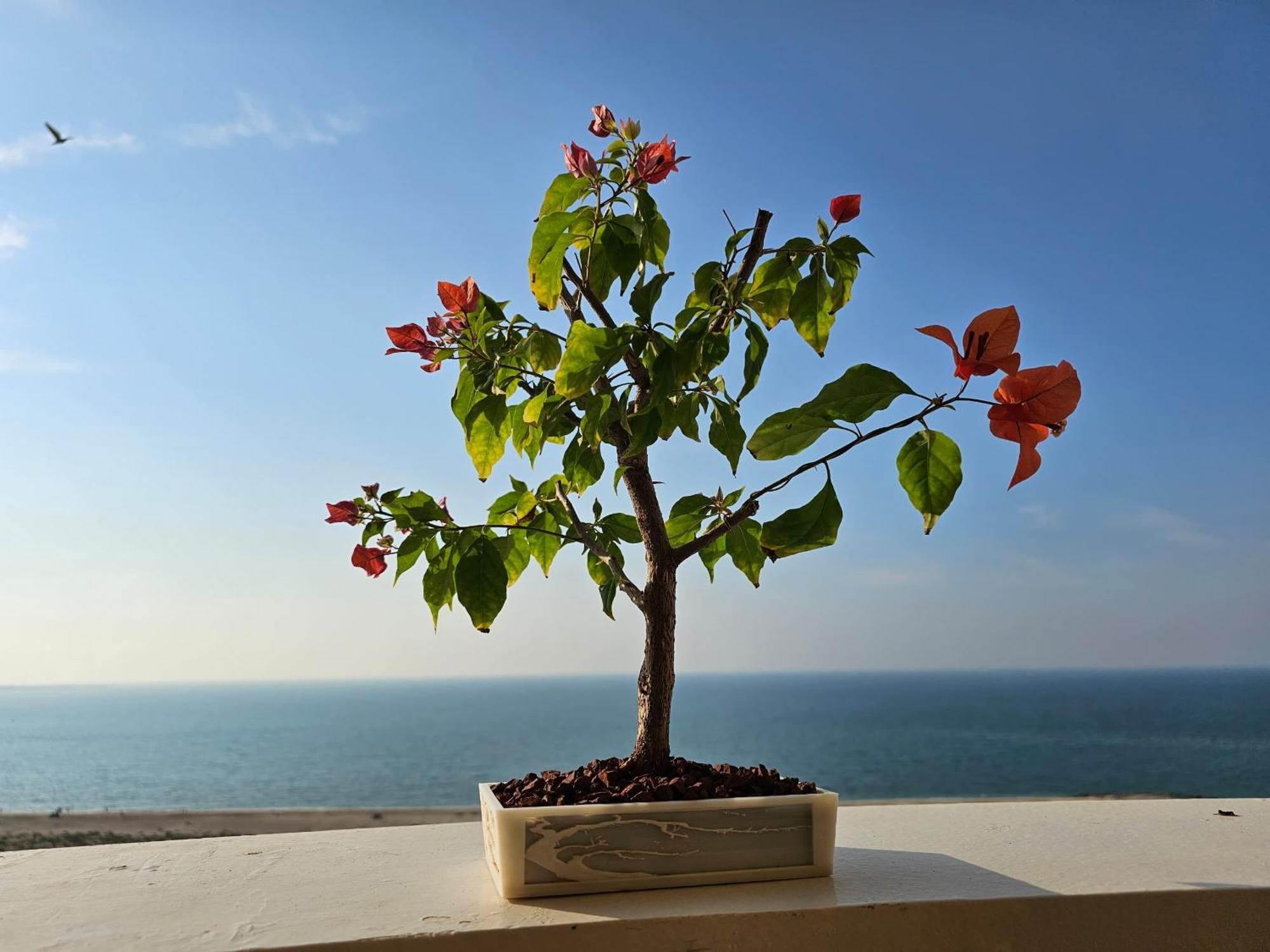 Apartment Full Sea View High Floor *